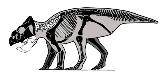 Zhuchengceratops